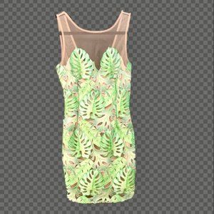 green and brown lace dress(my own line)